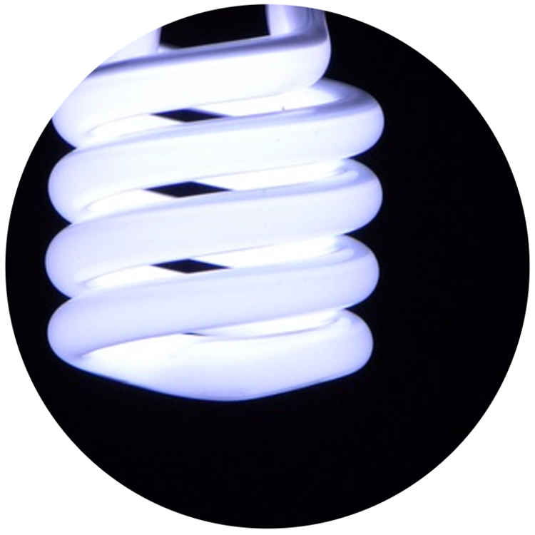 light bulb